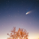Comet Hale-Bopp, as seen on March 29, 1997.